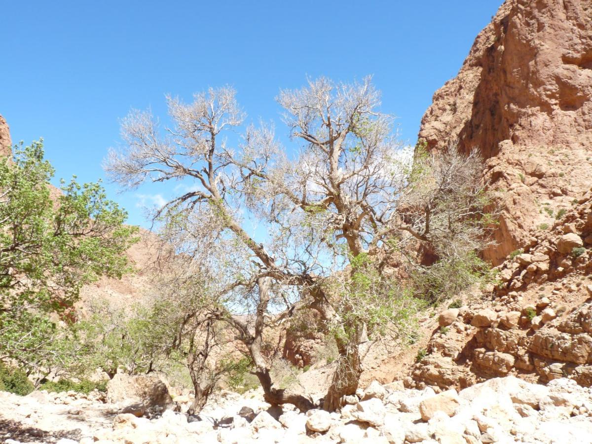 Les Jardins De Todgha Gorges De Todra Tinghir Hotel Ait Baha Exterior photo
